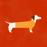 Dachshund by Molly McCammon