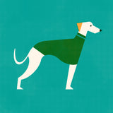 Greyhound by Molly McCammon