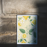 Elderflower and Lemons