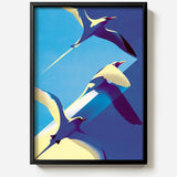 Tropicbirds by Charlie Davis