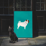 Pug by Molly McCammon