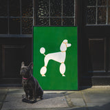 Poodle by Molly McCammon