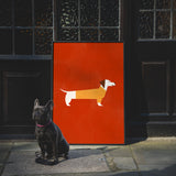 Dachshund by Molly McCammon
