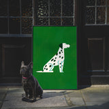 Dalmation by Molly McCammon