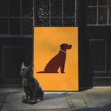 Labrador by Molly McCammon