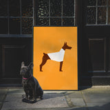 Dobermann by Molly McCammon