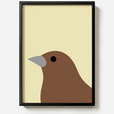 Sparrow by Stephen Cheetham