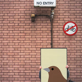 Sparrow by Stephen Cheetham