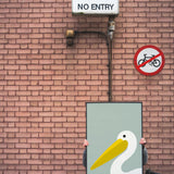 Pelican by Stephen Cheetham