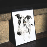 Penny by Sarah Maycock