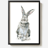 Rabbit by Sarah Maycock