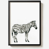 Zebra by Sarah Maycock