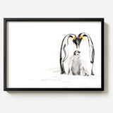 Powerful Penguins by Sarah Maycock