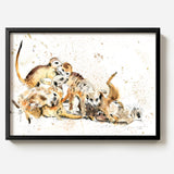 Meerkats Playing by Sarah Maycock