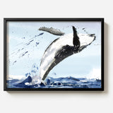 A Lone Whale by Sarah Maycock