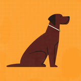 Labrador by Molly McCammon