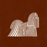 Lhaso Apso by Molly McCammon