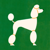 Poodle by Molly McCammon