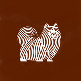 Pomeranian by Molly McCammon