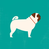 Pug by Molly McCammon