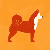 Shibu Inu by Molly McCammon