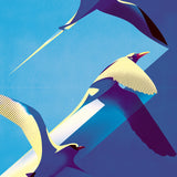 Tropicbirds by Charlie Davis