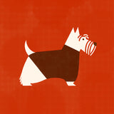 Westie by Molly McCammon