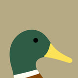 Mallard by Stephen Cheetham