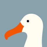 Albatross by Stephen Cheetham