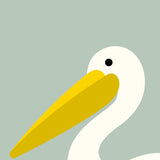 Pelican by Stephen Cheetham