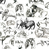 Animals Fighting by Sarah Maycock