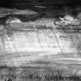 Lion Storm by Sarah Maycock