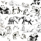 Loving Animals by Sarah Maycock