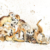 Meerkats Playing by Sarah Maycock