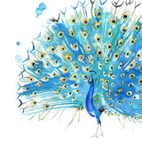 Loud Peacock by Sarah Maycock