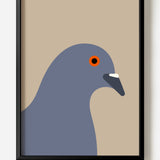 Pigeon by Stephen Cheetham