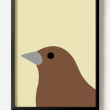 Sparrow by Stephen Cheetham