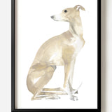 Whippet by Sarah Maycock