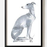 Whippet by Sarah Maycock