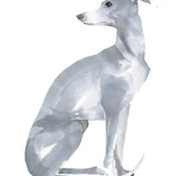 Whippet by Sarah Maycock