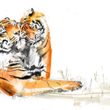 Tiger Family by Sarah Maycock