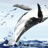 A Lone Whale by Sarah Maycock