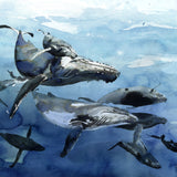 Whales Together by Sarah Maycock