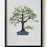 Bonsai two by Yo Hosoyamada